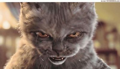 pour des personnes qui se reconnaitront!!!!!