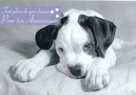 Pour toi ma Tine.......